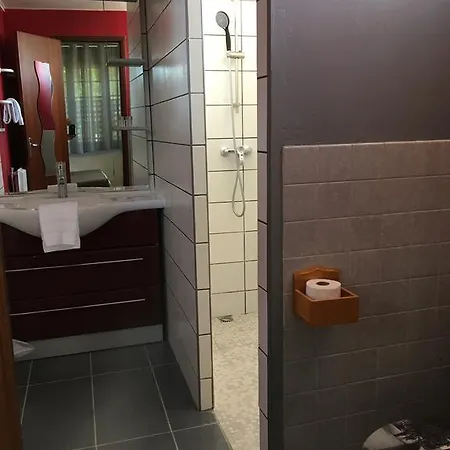 Hotel Saint Hubert Biscarrosse