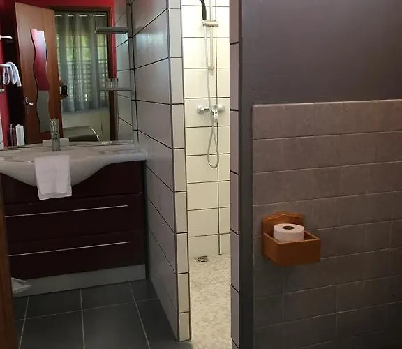 Hotel Saint Hubert Biscarrosse